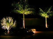 Clime5 LED landscape lighting Grandezza Community Estero Florida home