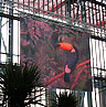 Architectural LED Mesh Screen