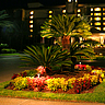 Hotel Landscape With Lighting